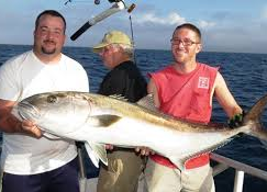 nice_amberjack