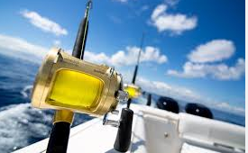 Charter Fishing Sarasota 